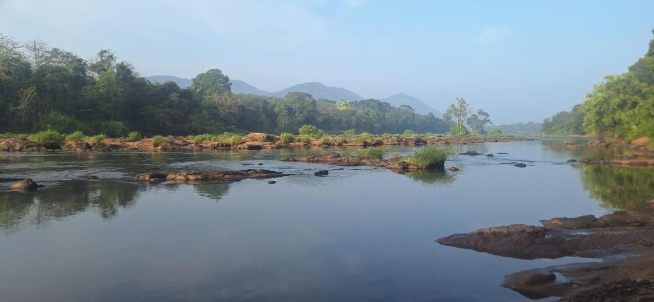 Kallana Jackroot Heritage Athirappilly 아파트 외부 사진